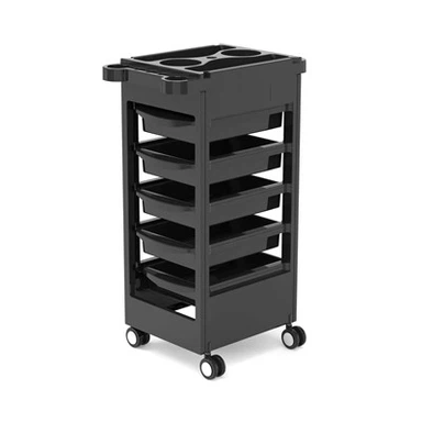 Troli Salon Economaidd